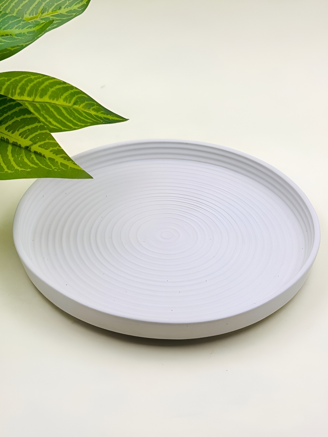 

Lupaava White Dishwasher Safe Ceramic Plate