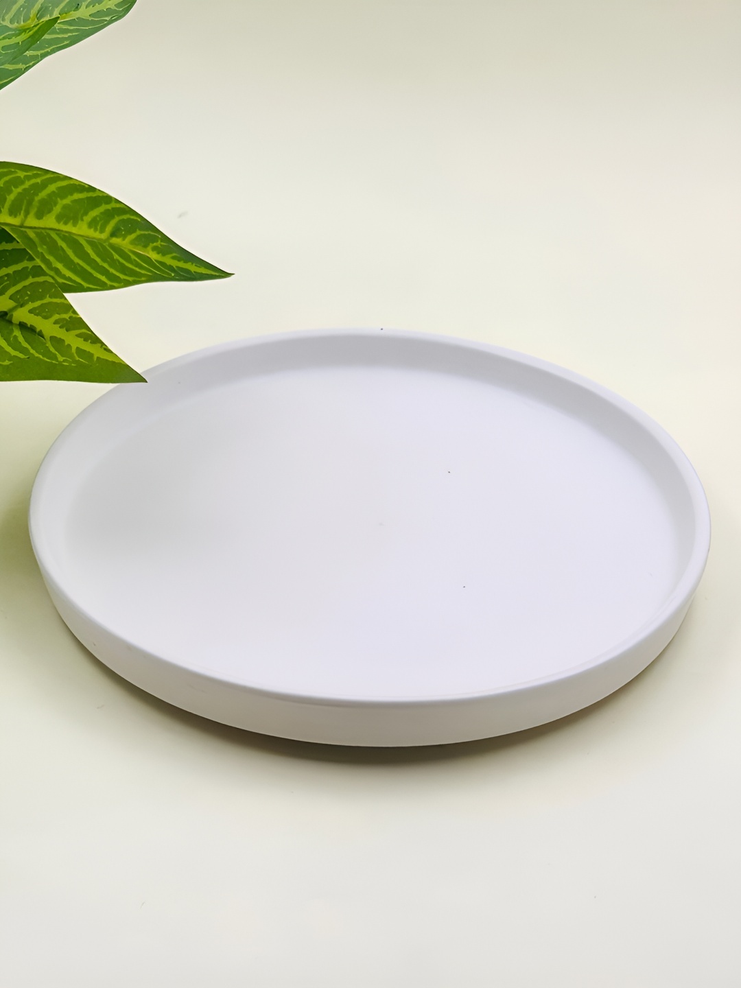 

Lupaava White Dishwasher Safe Ceramic Plate
