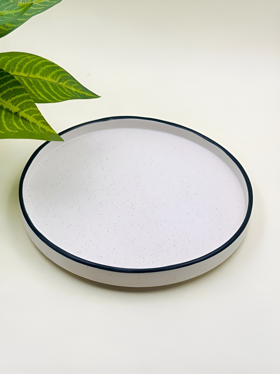 

Lupaava White Dishwasher Safe Ceramic Plate