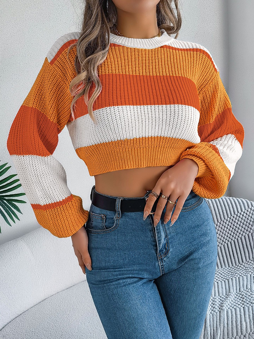 

StyleCast x Revolte Women Colourblocked Crop Pullover, Orange