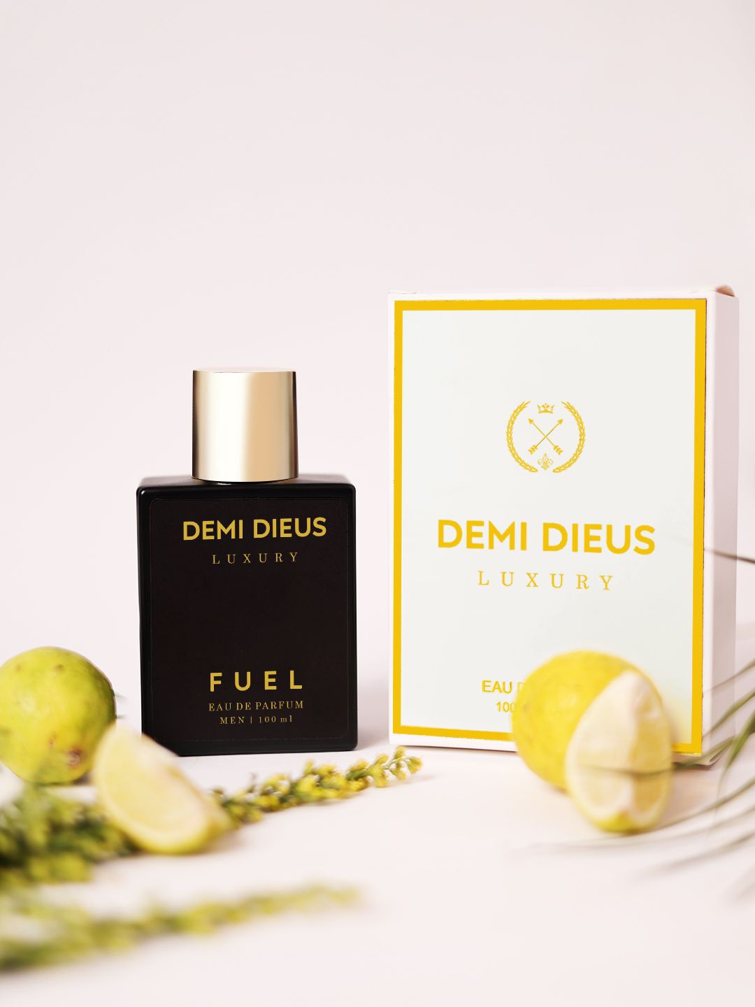 

DEMI DIEUS Fuel Men Long Lasting Eau De Parfume- 100 ml, Black