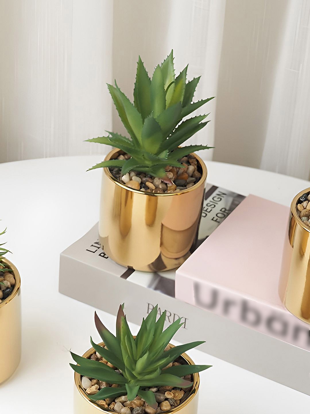 

DecorTwist Gold-Toned and Green Indoor Succulent Live Plant With Pot 16 cm