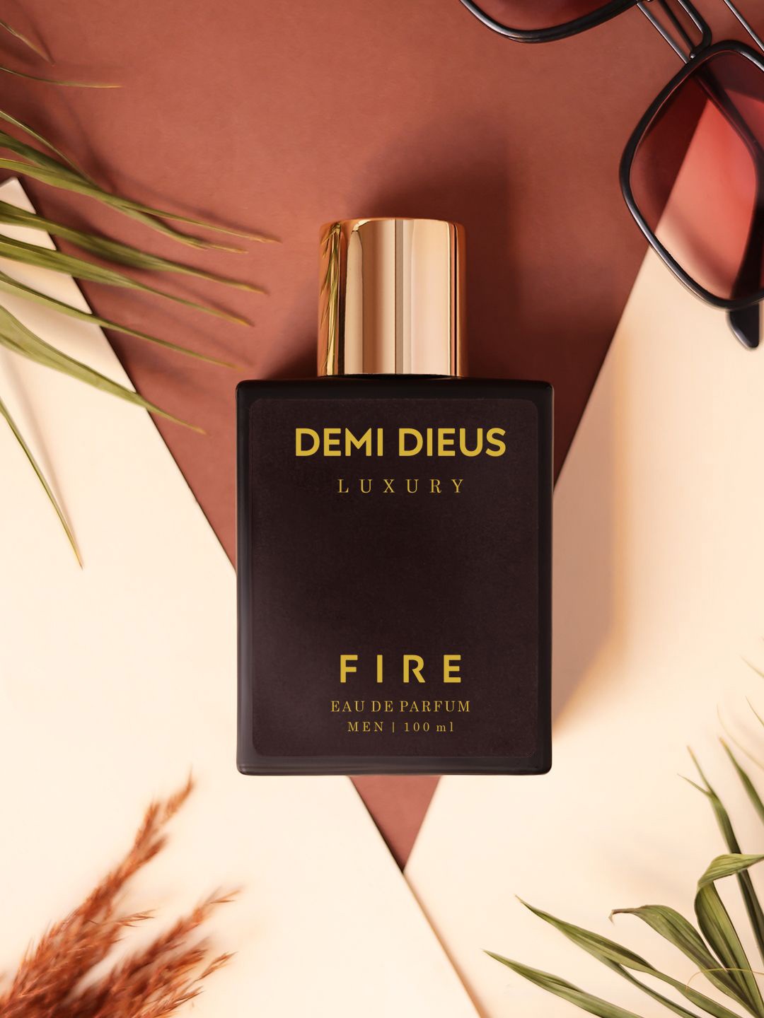 

DEMI DIEUS Fire Men Long Lasting Eau De Parfume- 100 ml, Black