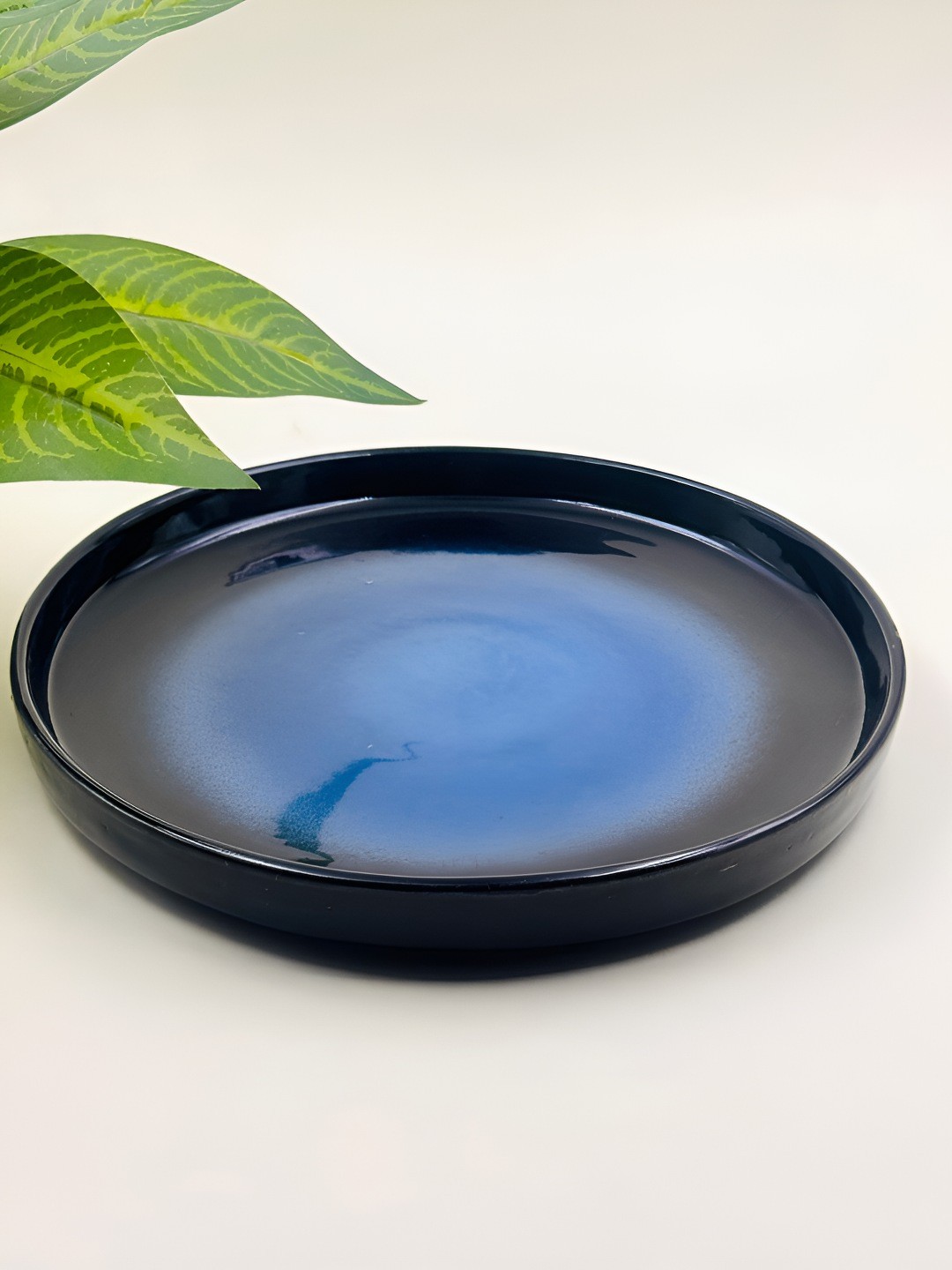 

Lupaava Blue Dishwasher Safe Ceramic Plate