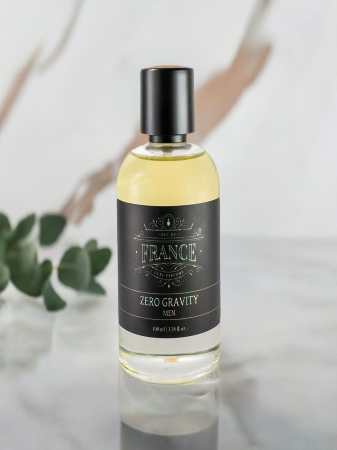 

Eau DuFrance Men Zero Gravity Perfume- 100 ml, Na