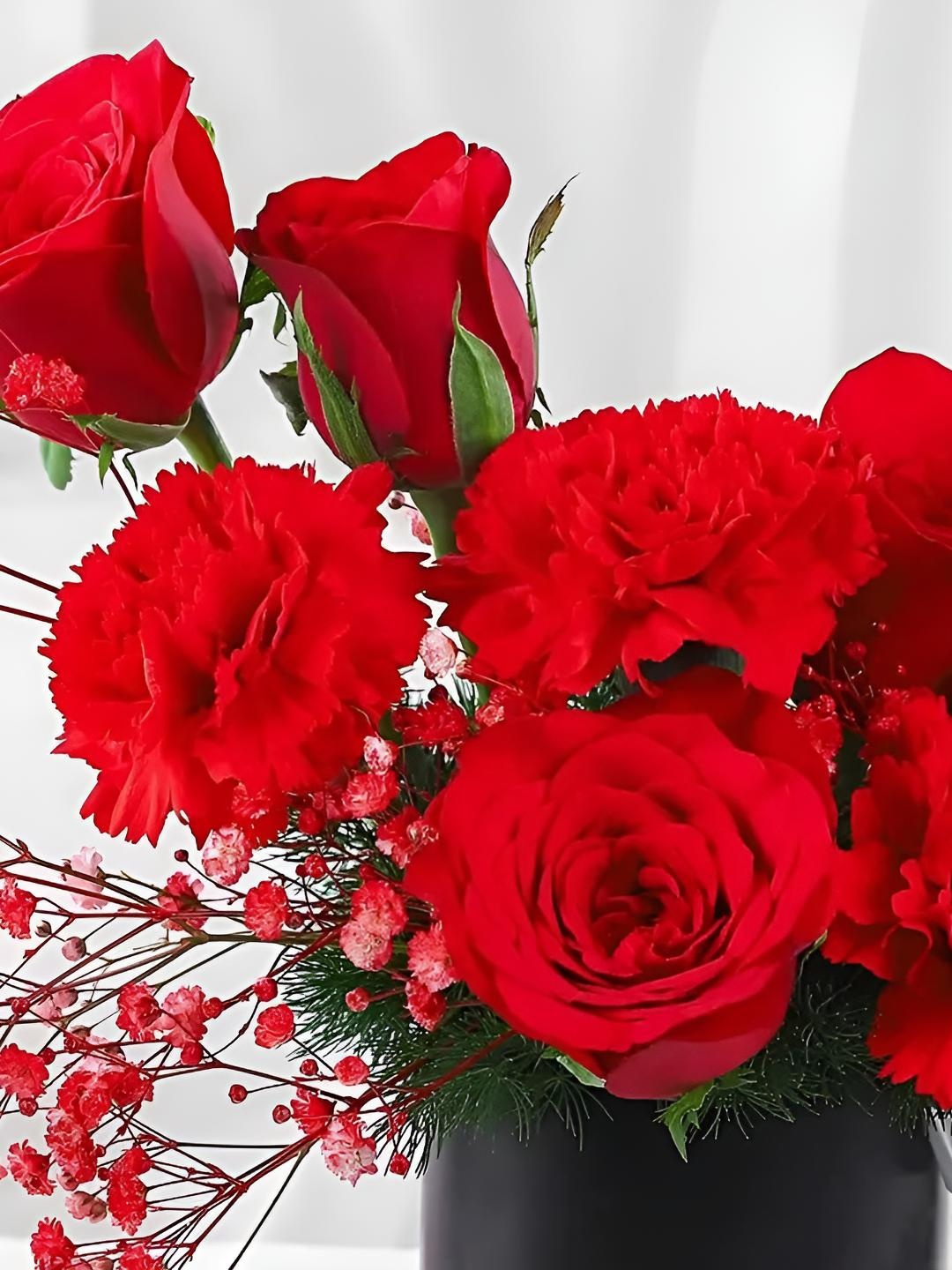 

fnp Red Roses & Carnation Fresh Flowers Bouquet In Mug