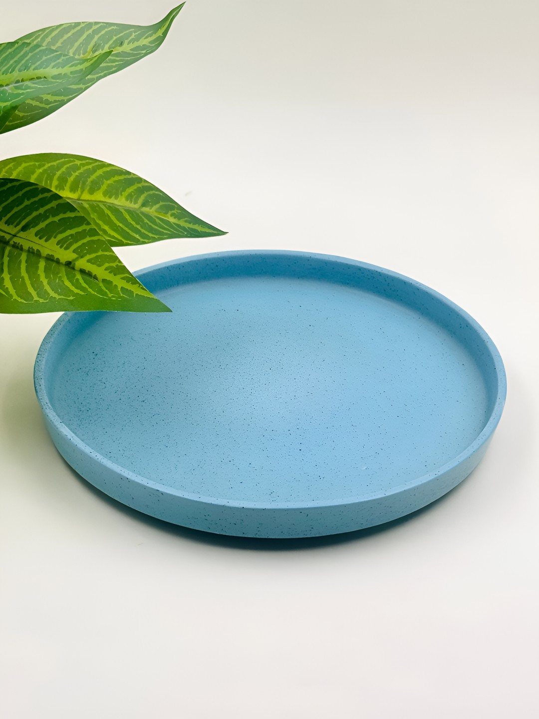 

Lupaava Blue Dishwasher Safe Ceramic Plate
