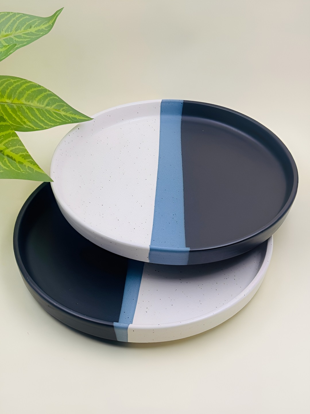 

Lupaava Black & White 2 Pieces Dishwasher Safe Ceramic Plate