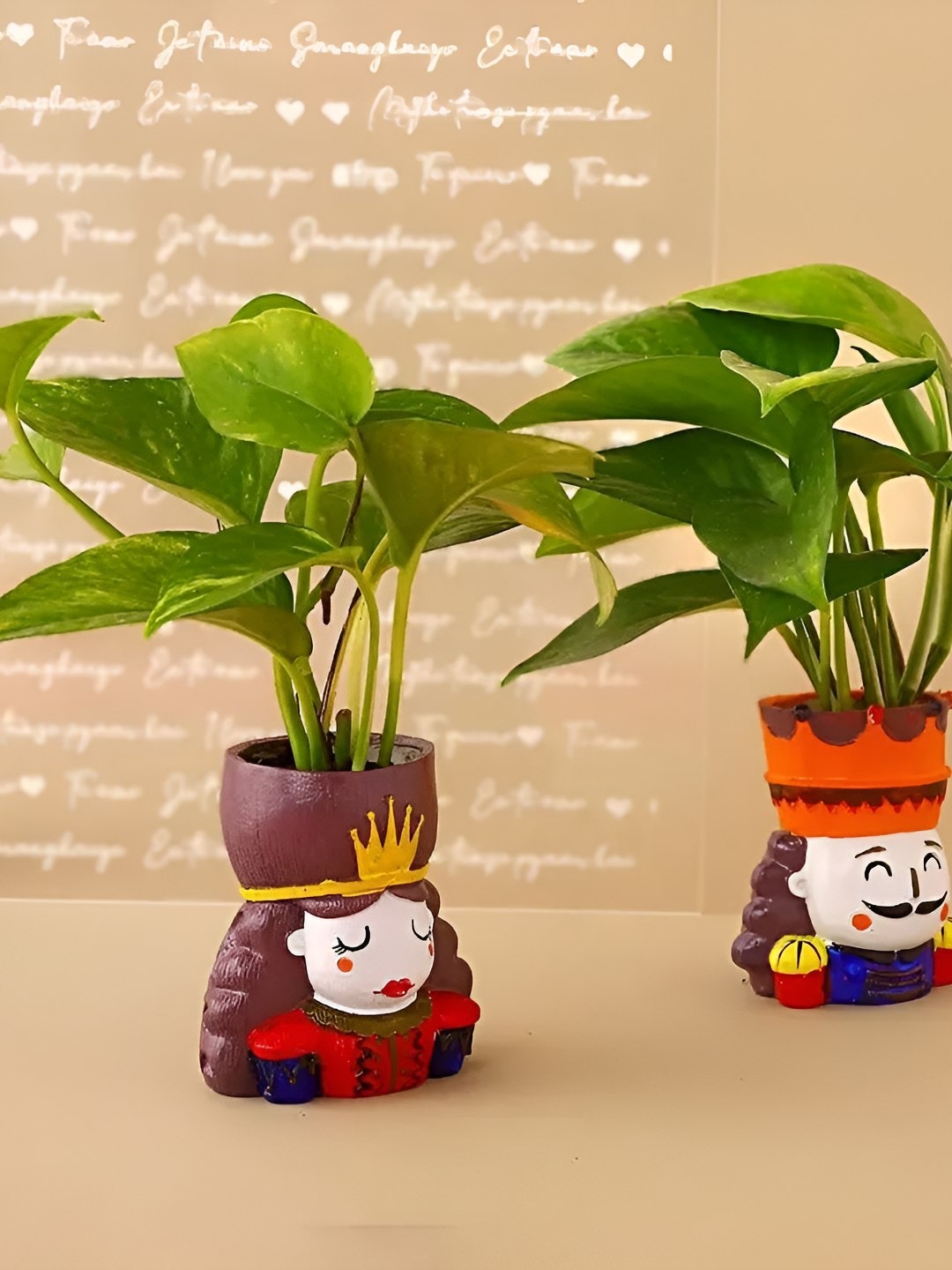 

fnp 2-Pcs Indoor Money Plant With Pot - 3.5 Inch, Green