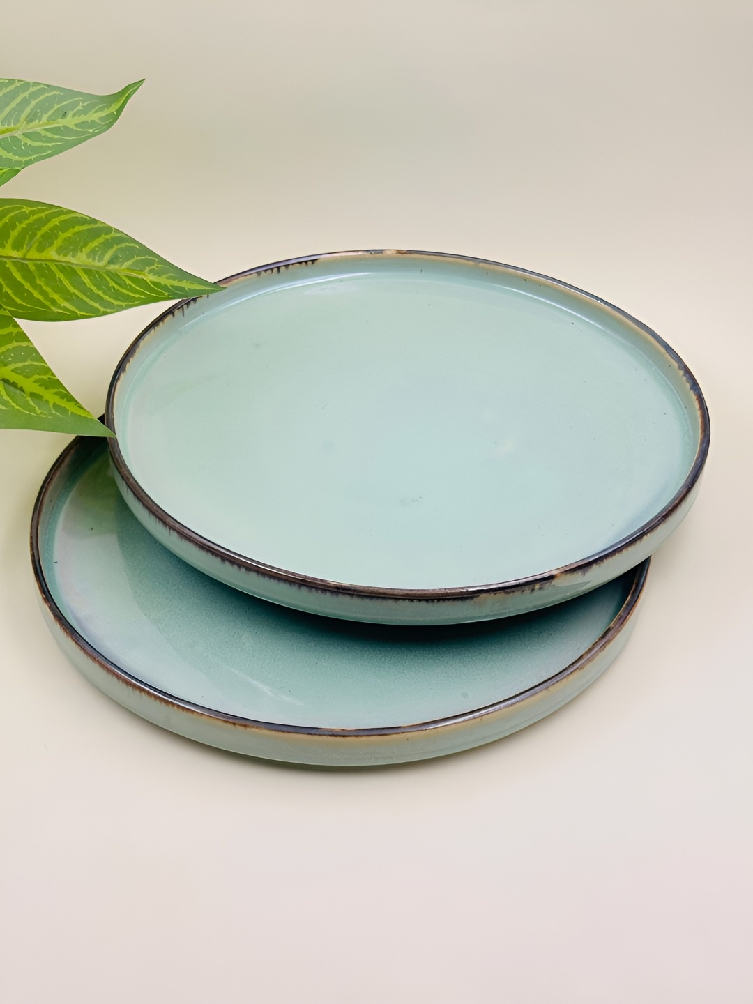 

Lupaava Green 2 Pieces Dishwasher Safe Ceramic Plates