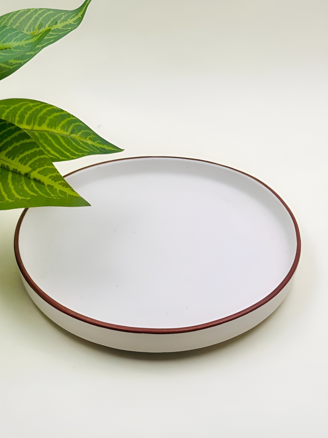 

Lupaava White Dishwasher Safe Ceramic Plate