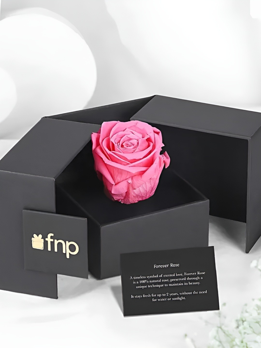 

fnp Fresh Rose Flowers With Box, Pink