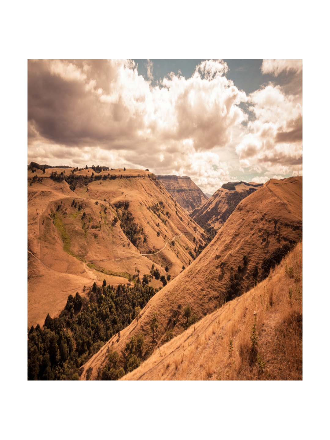 

Inephos Brown And White Scenery Printed Canvas Wall Art
