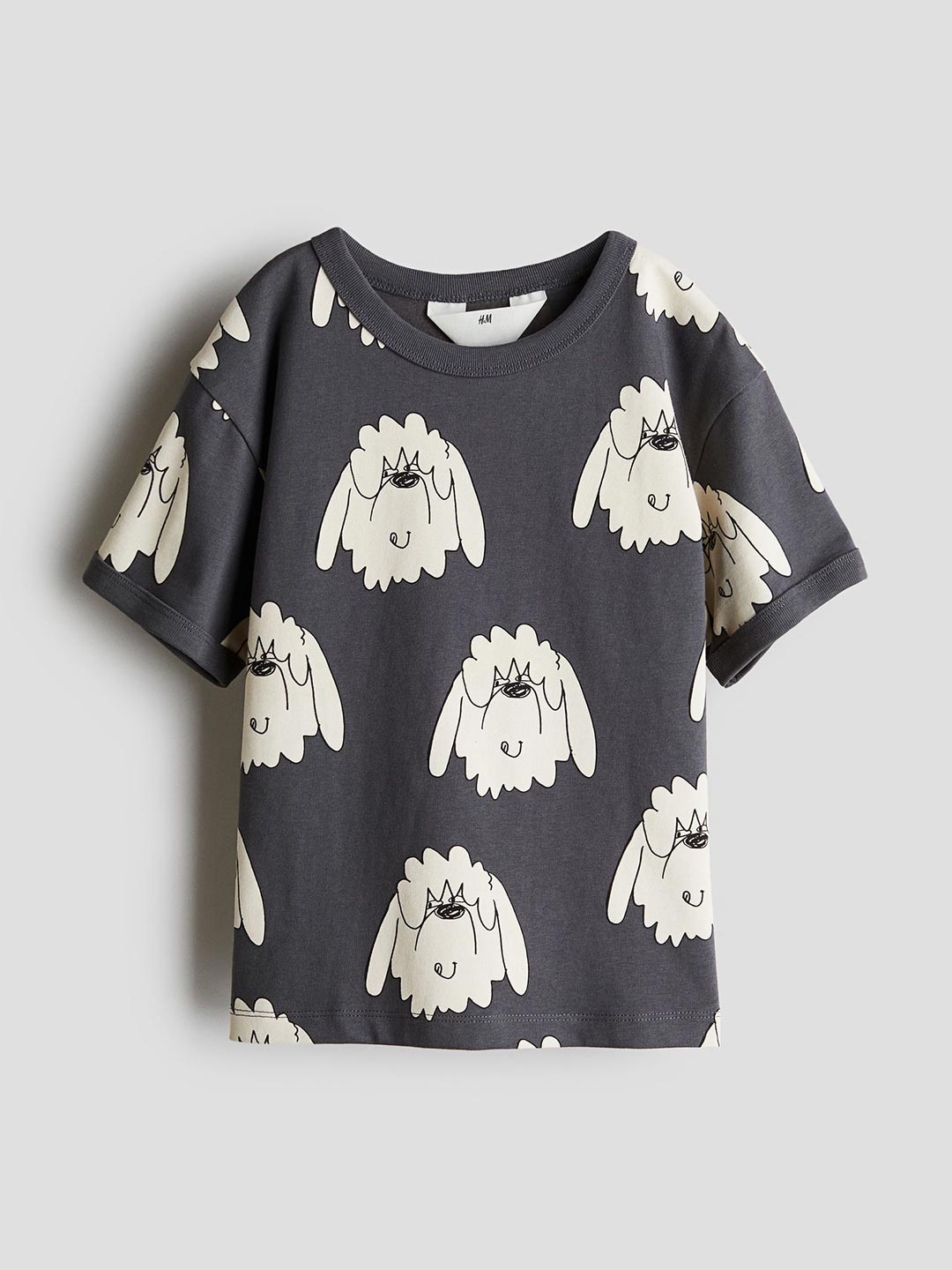 

H&M Printed cotton T-shirt, Grey