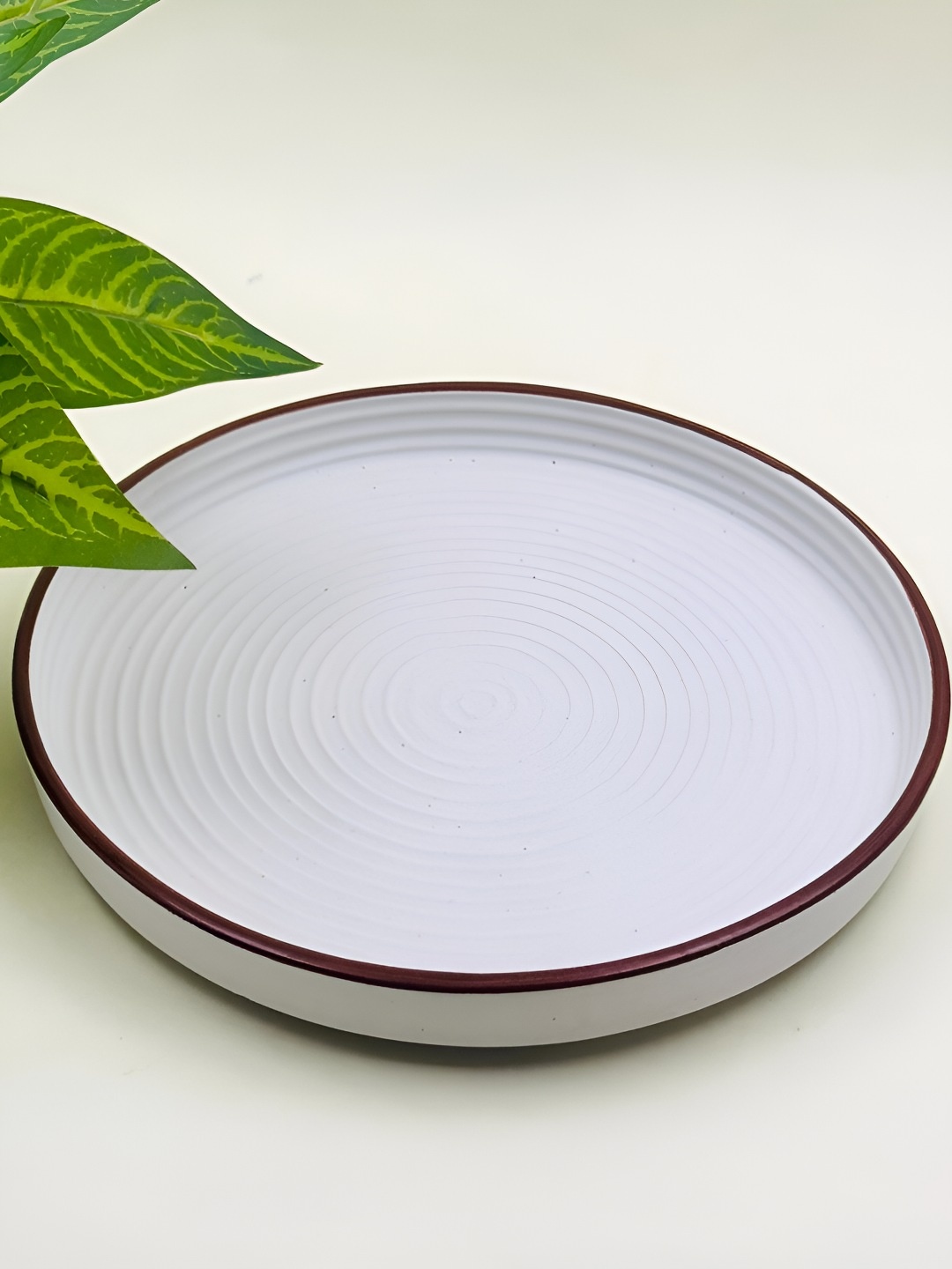 

Lupaava White Dishwasher Safe Ceramic Plate