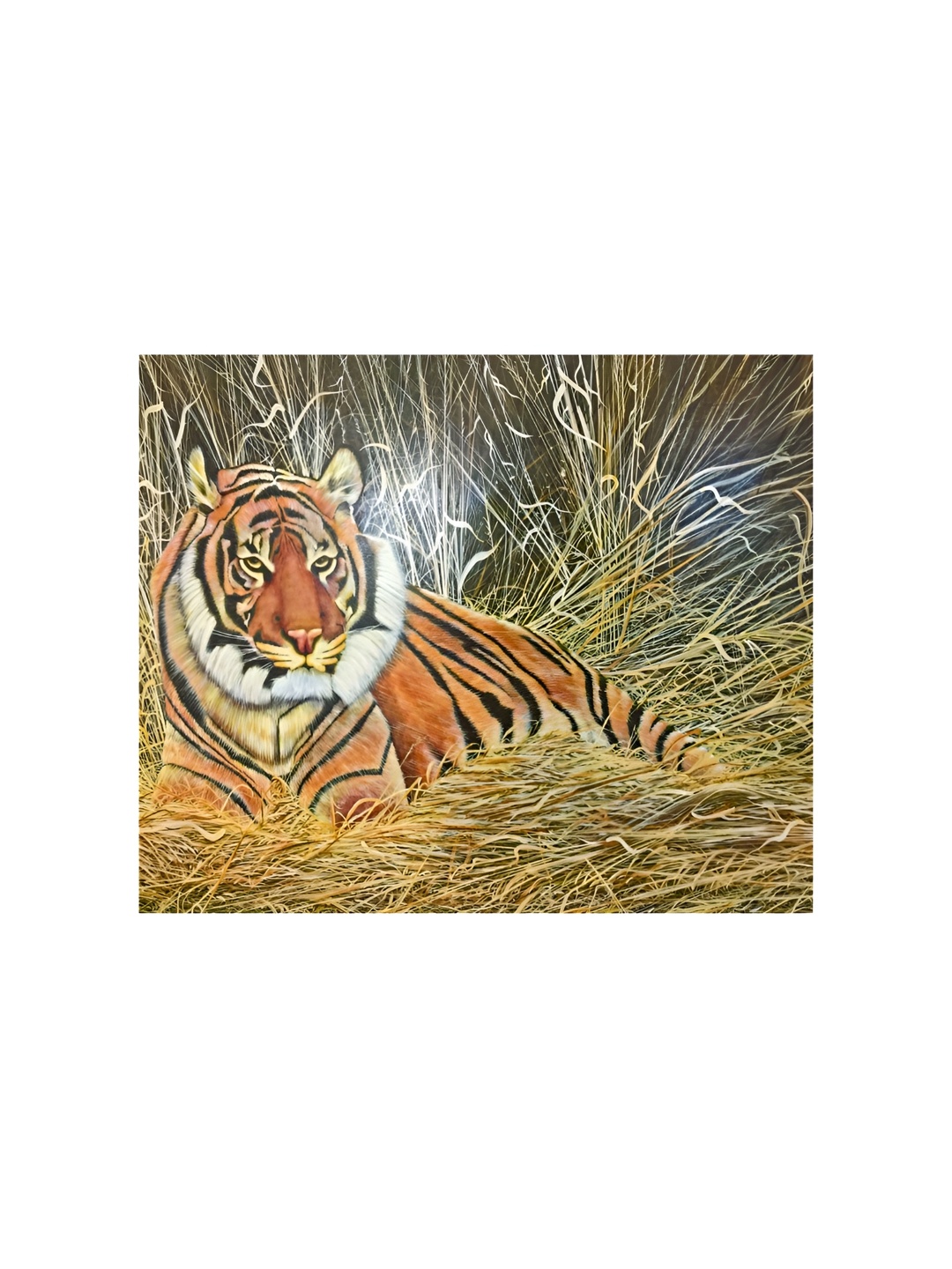 

Inephos Orange & White Birds and Animals Printed Canvas Wall Art