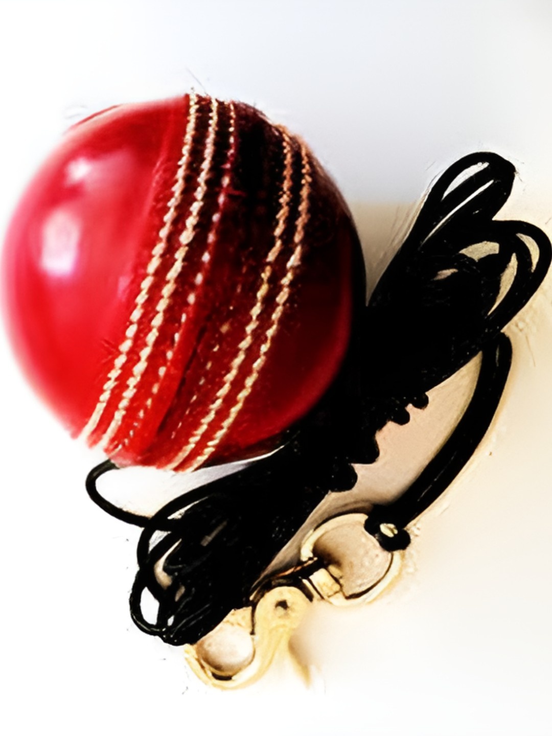 

HackerX Printed Leather Cricket Hanging Ball, Red