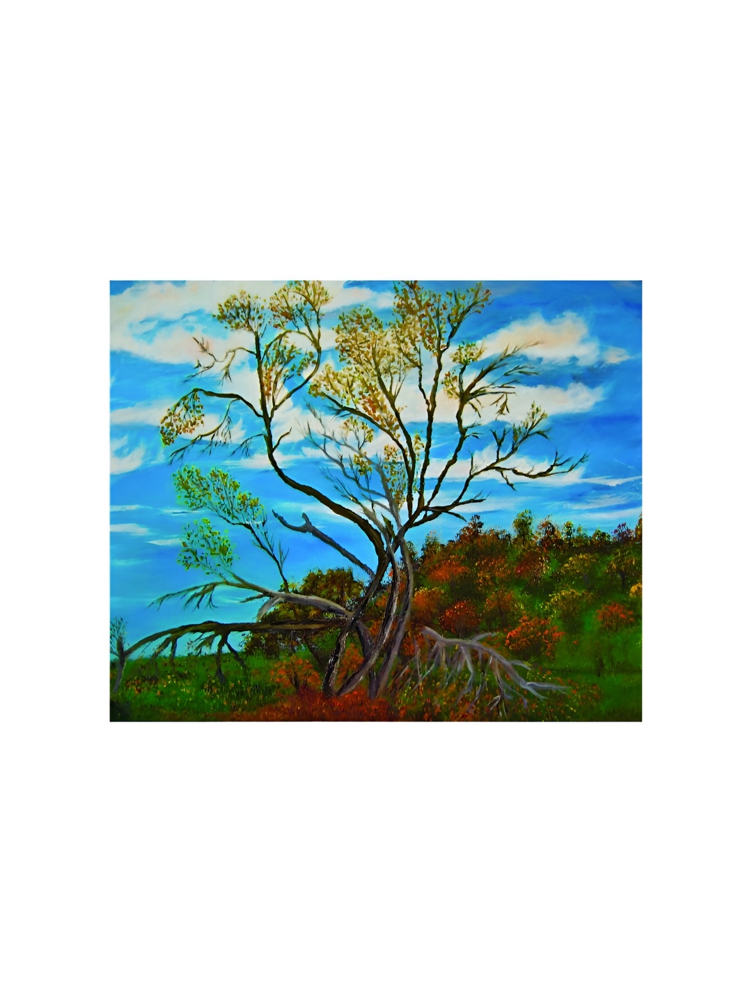 

Inephos Blue & Green Floral & Botanical Printed Canvas Wall Paintings
