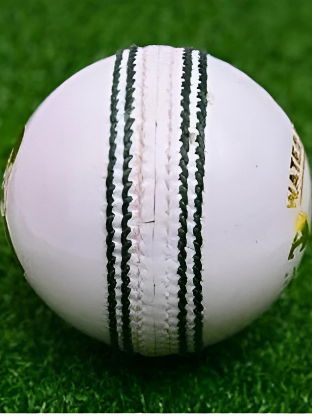 

HackerX Pebble Leather Sports Cricket Ball, White