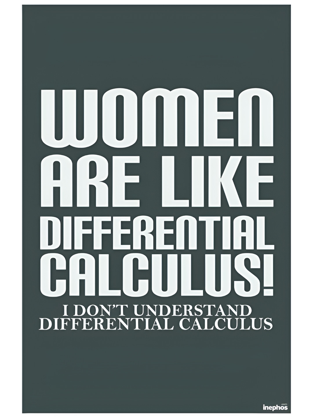

Inephos Grey & White Women Are Like Calculus Vinyl Poster Funny Posters