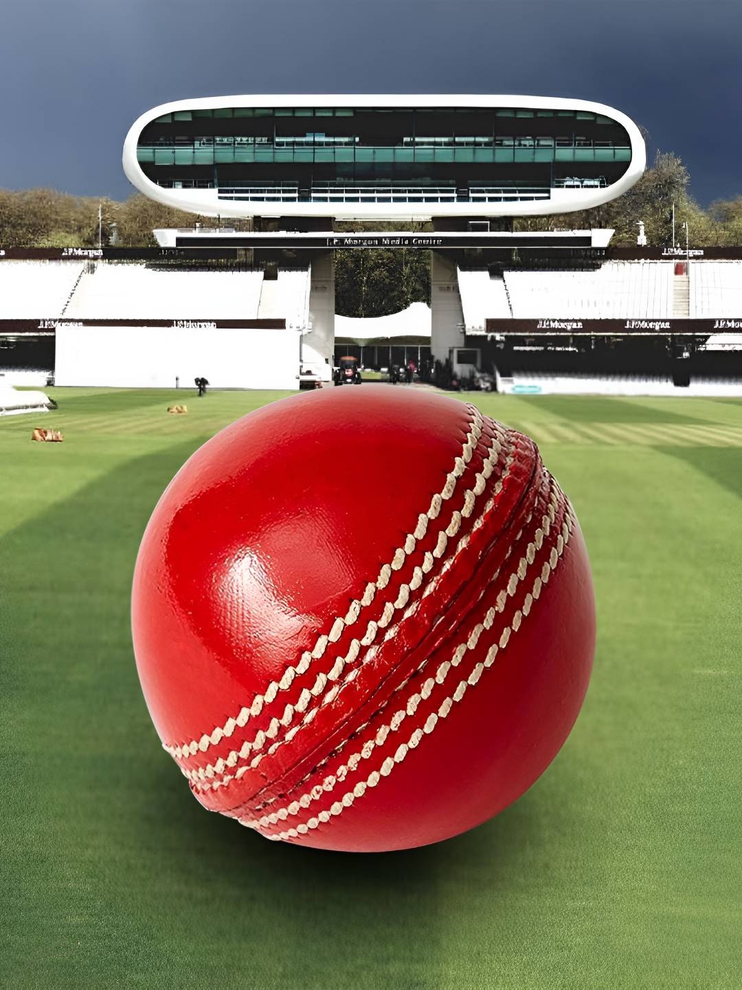 

HackerX Printed Leather Cricket Hanging Ball, Red