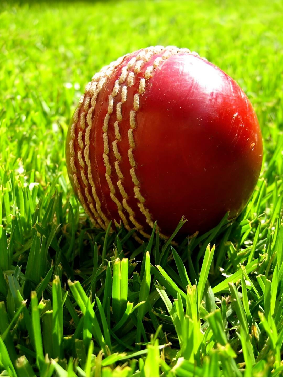 

HackerX Trainy Sports Cricket Ball, Red