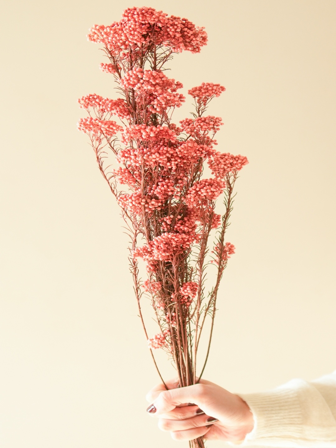 

ArteCasa Pink & Brown Rice Artificial Flower