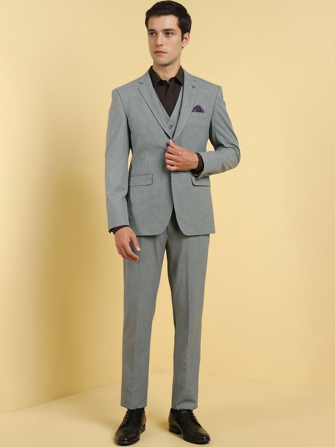 

Allen Solly Men Textured Slim Fit Single-Breasted Three Piece Formal Suit, Grey