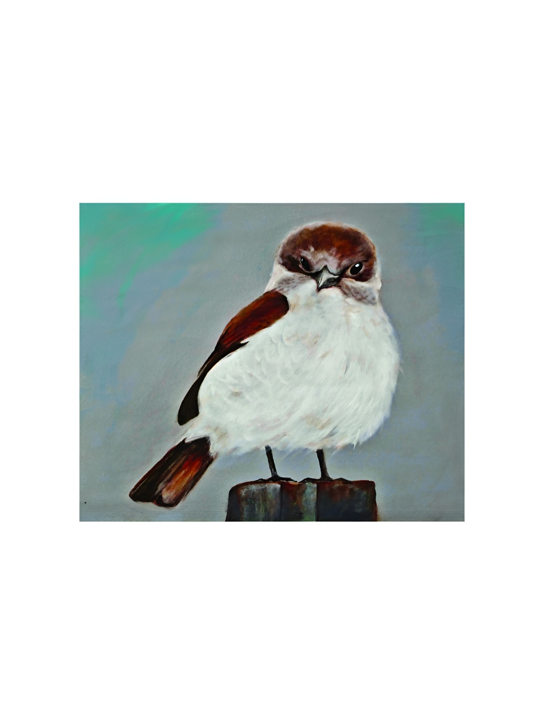 

Inephos White And Brown Birds and Animals Canvas Wall Art