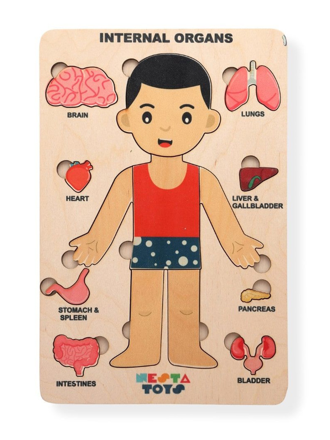 

NESTA TOYS Kids 14 Pcs Human Body Anatomy Montessori Preschool Puzzle Toy, Brown
