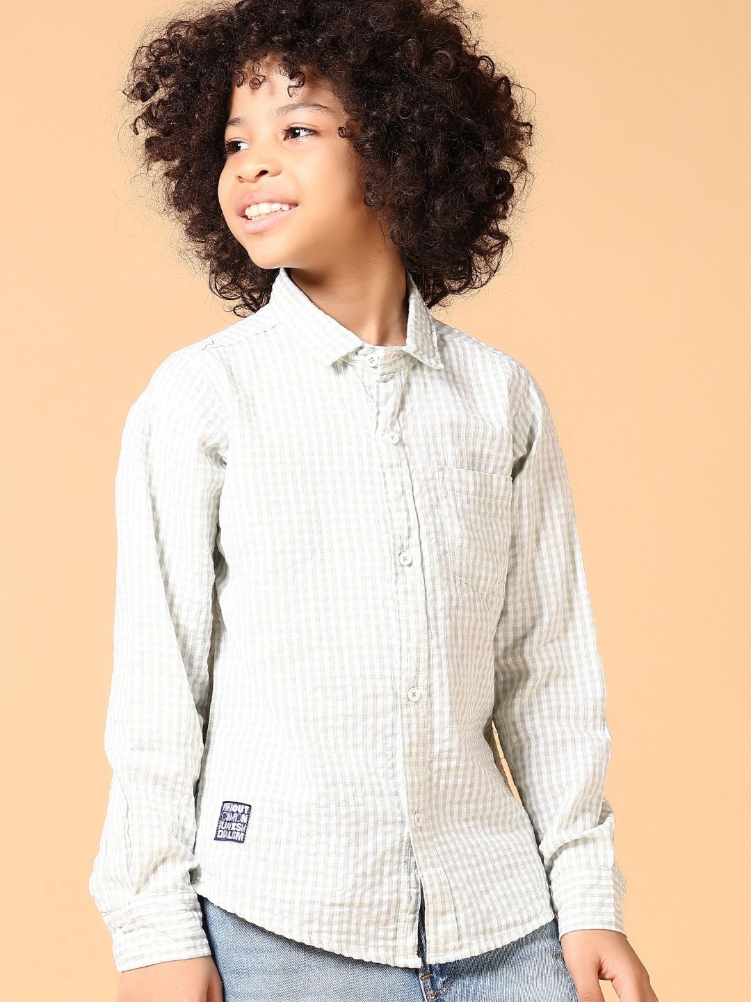 

V-Mart Boys Spread Collar Micro Checked Cotton Casual Shirt, Green