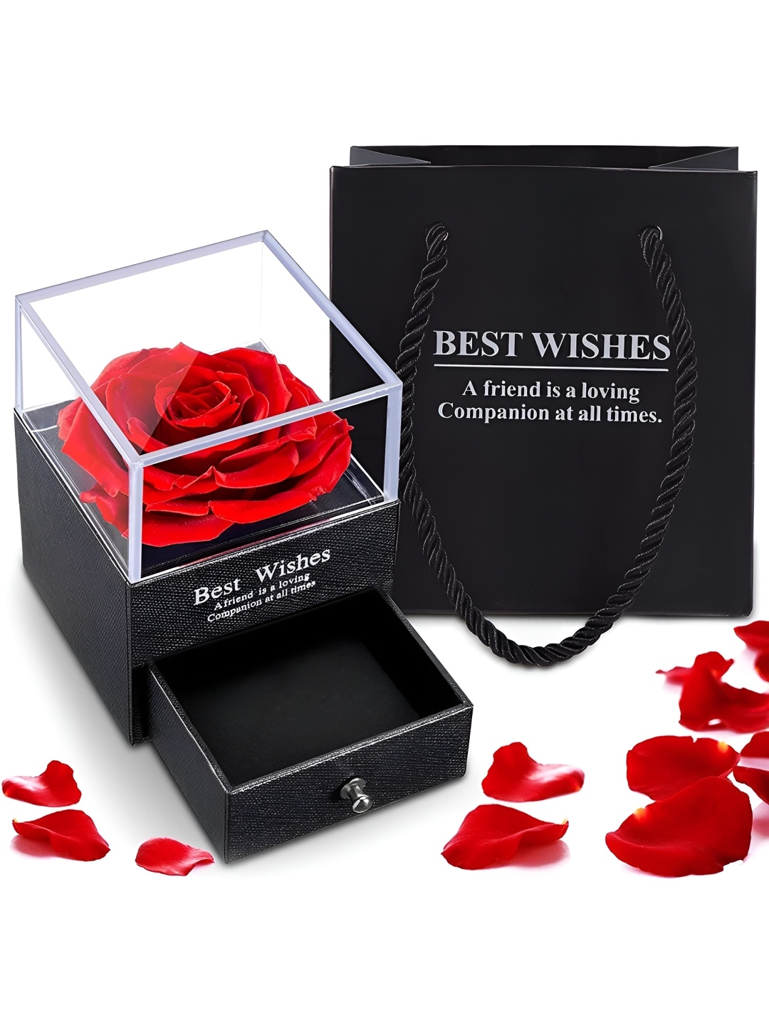 

Ascension Red & Transparent Preserved Rose Flower Gift Box