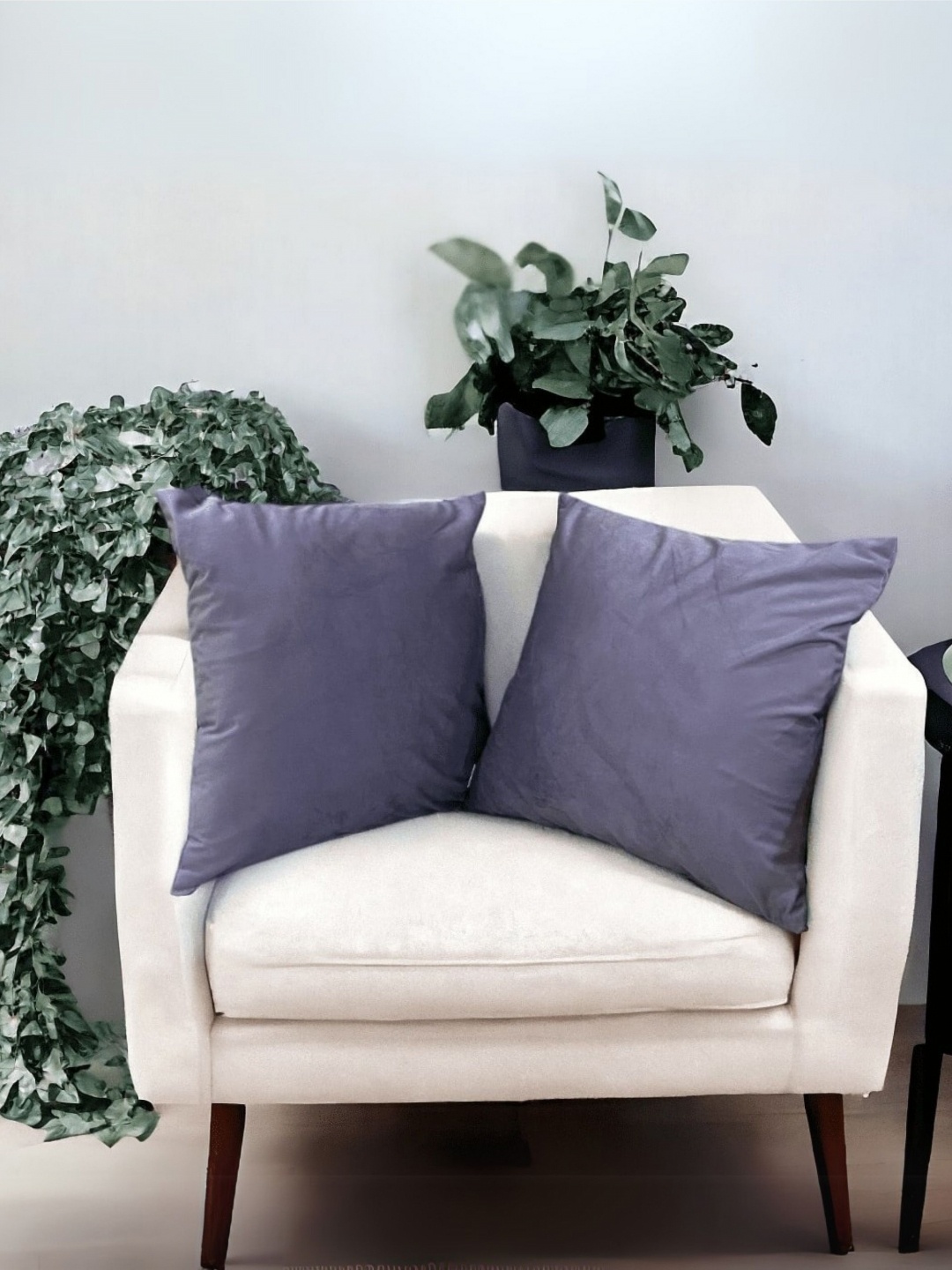 

LUSHLYF Grey 2 Pieces Velvet Square Cushion Covers