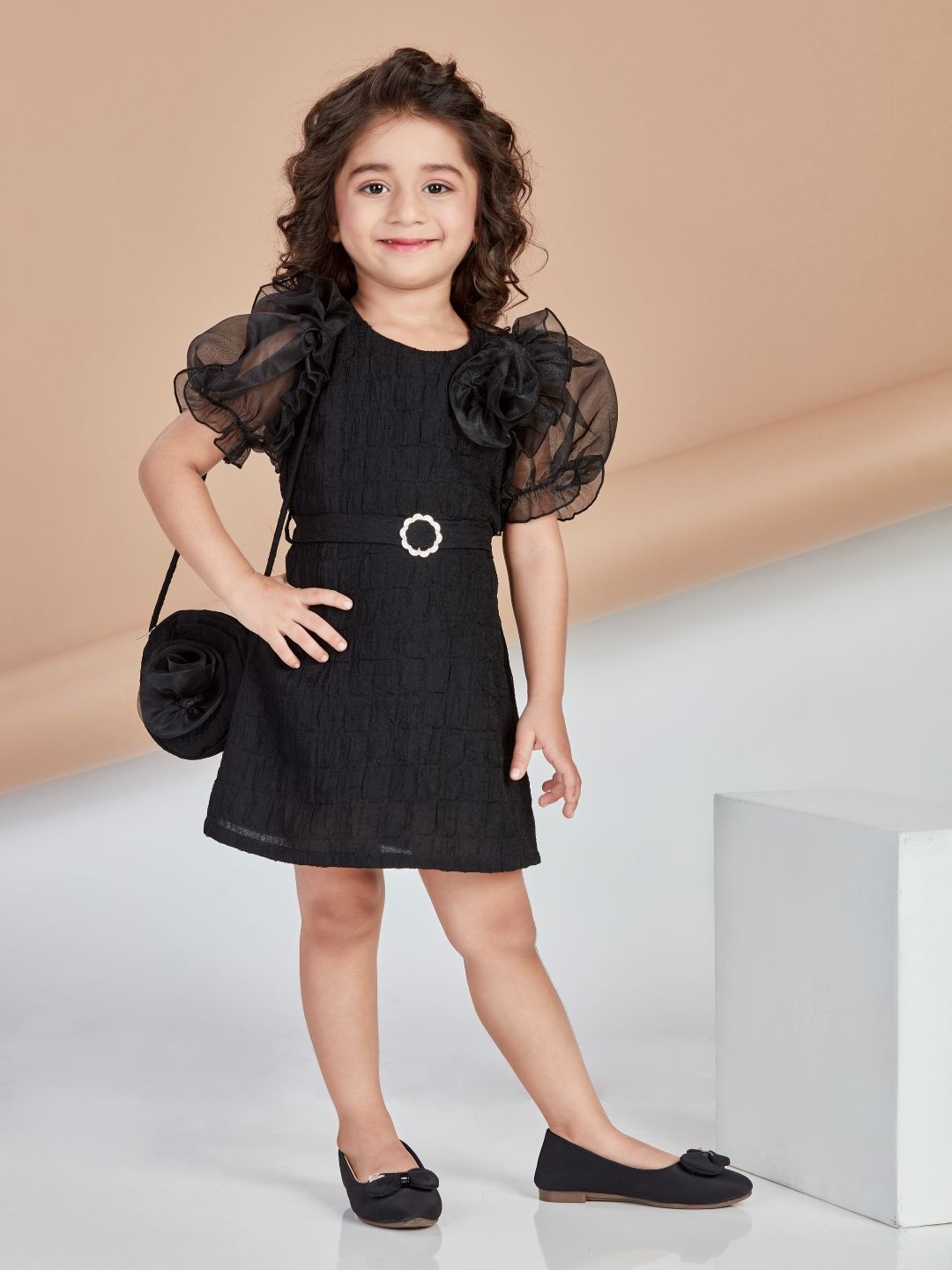 

Peppermint Puff Sleeve Georgette A-Line Dress, Black