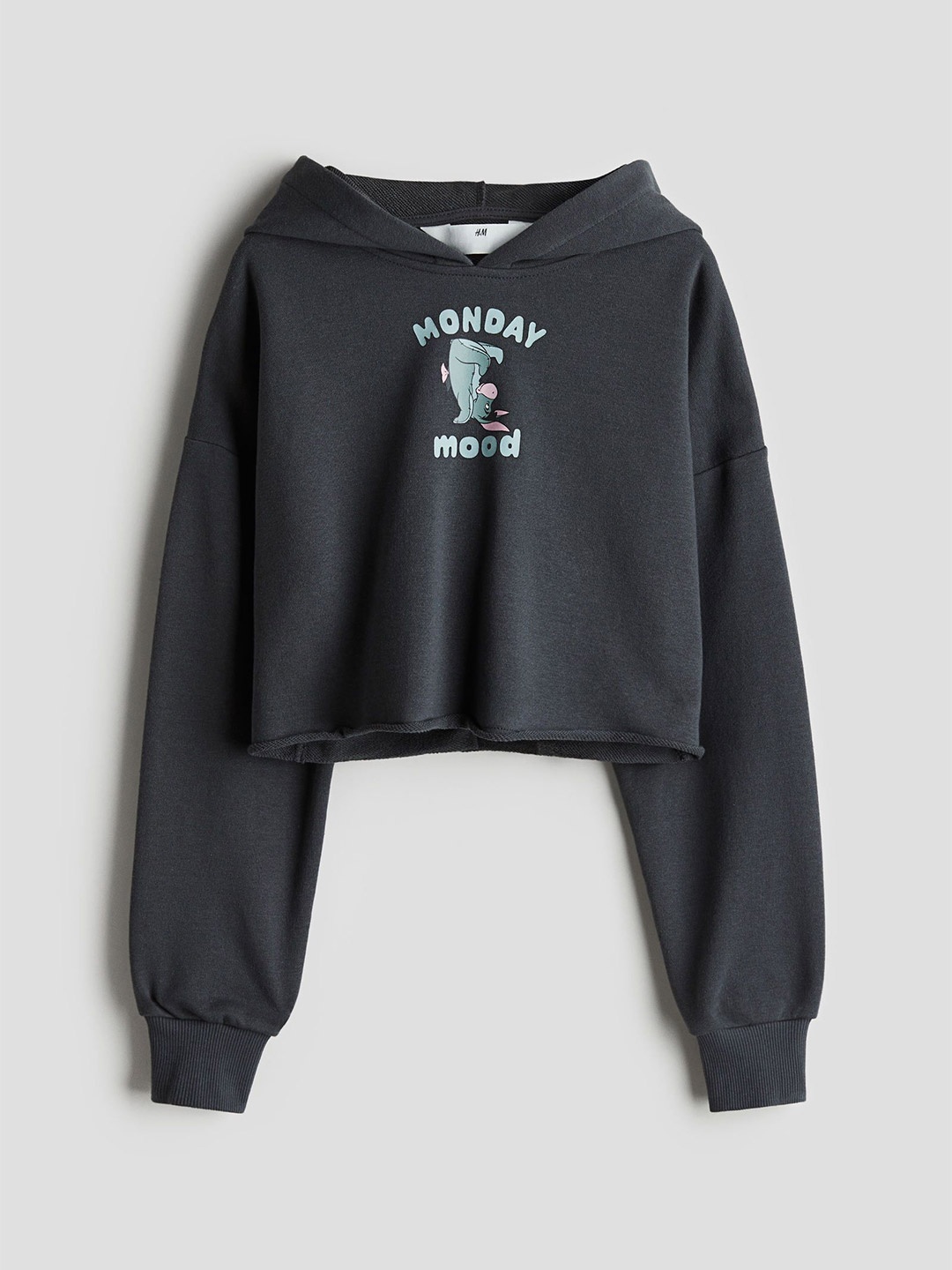 

H&M Cropped Hoodie, Grey