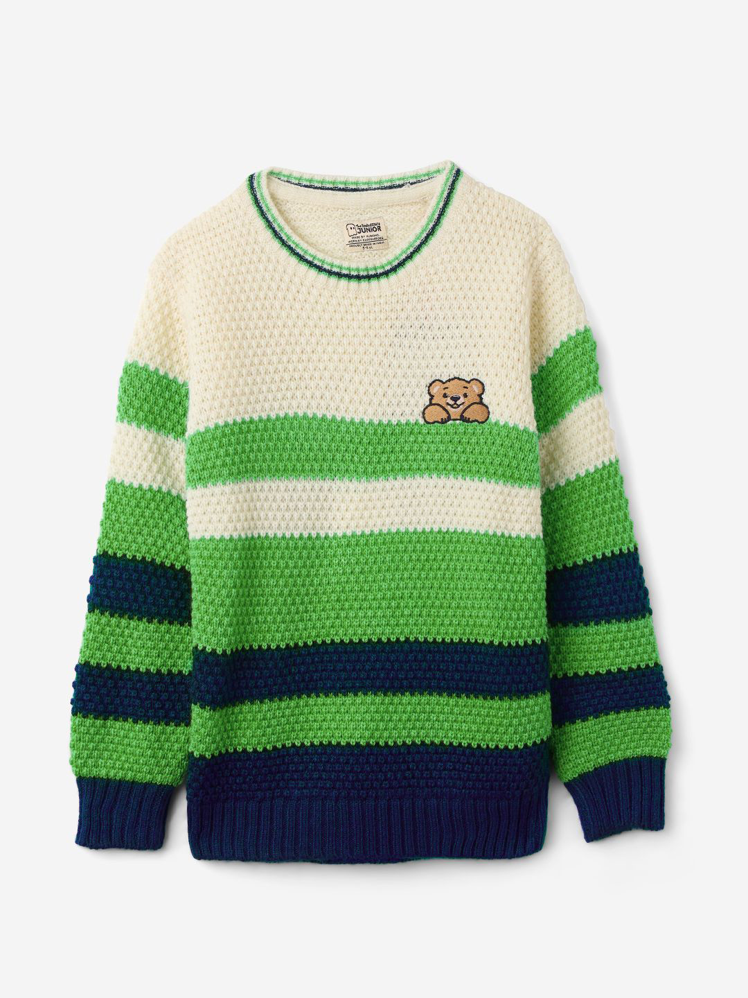 

The Souled Store Boys Embroidered Printed Pullover with Embroidered Detail, Green