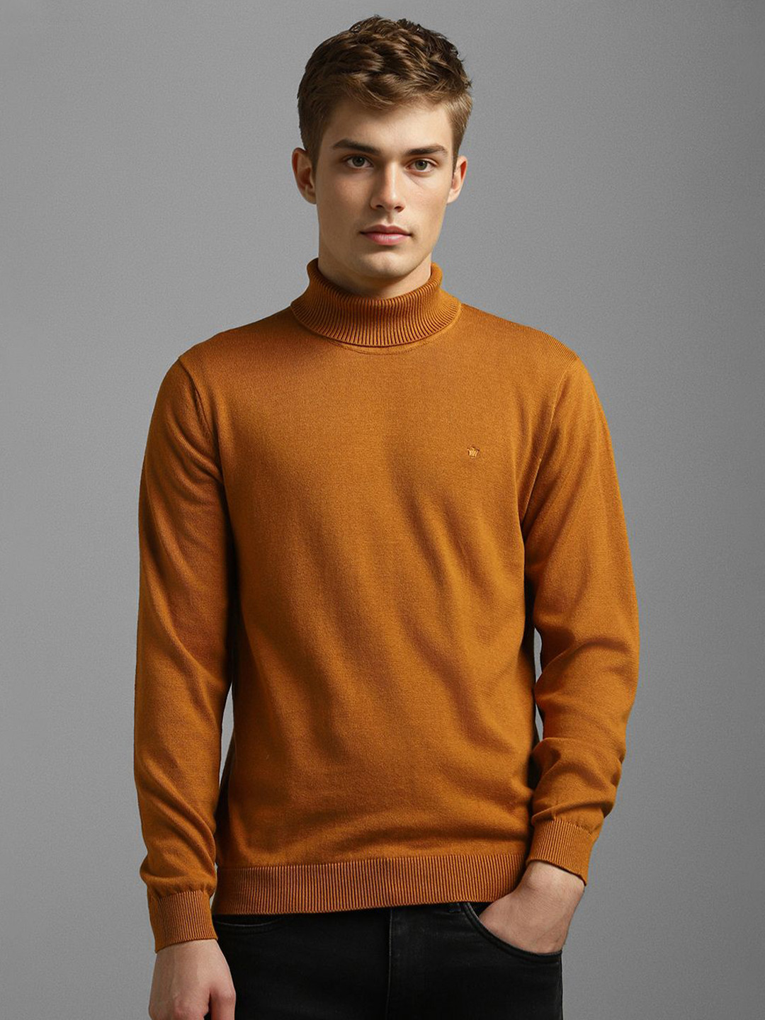 

Louis Philippe Men Turtle Neck Pullover Sweater, Brown