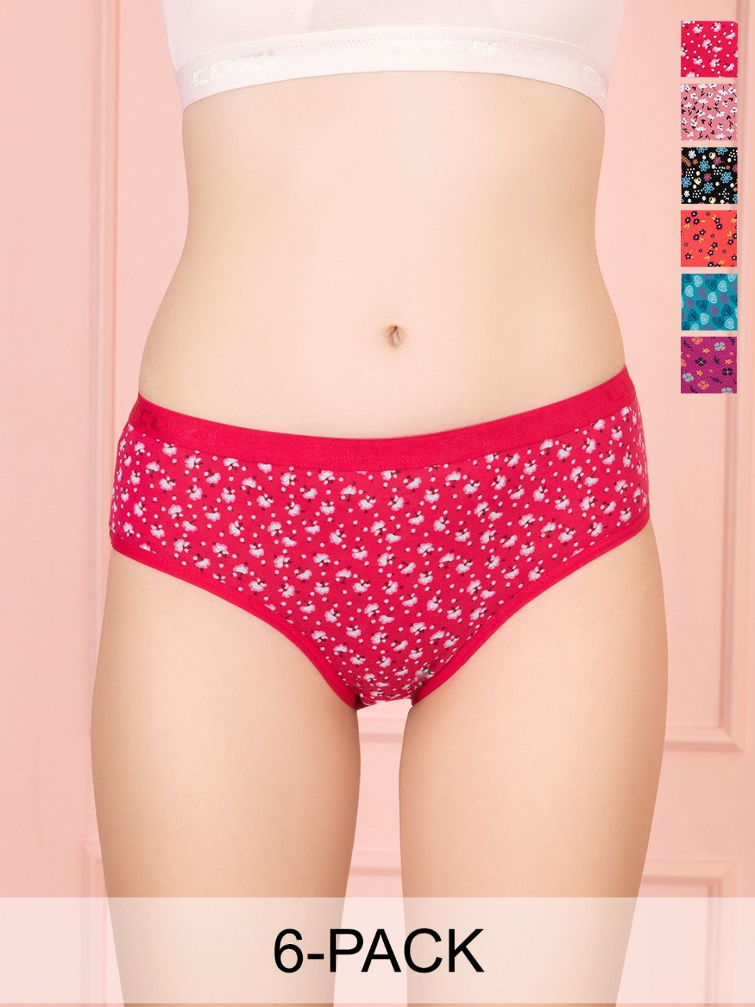 

Lux Cozi 6-Pcs Assorted Pure Cotton Hipster Briefs COZIHER_703_PTY_AST_6PC