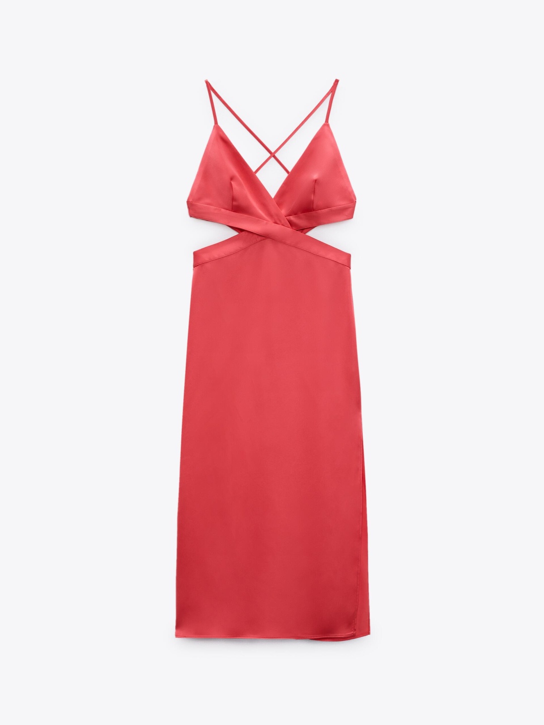

ZARA Women Rose Dresses