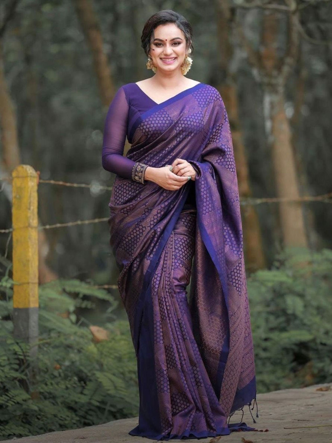 

Upalksh Woven Design Zari Pure Cotton Patola Saree, Blue