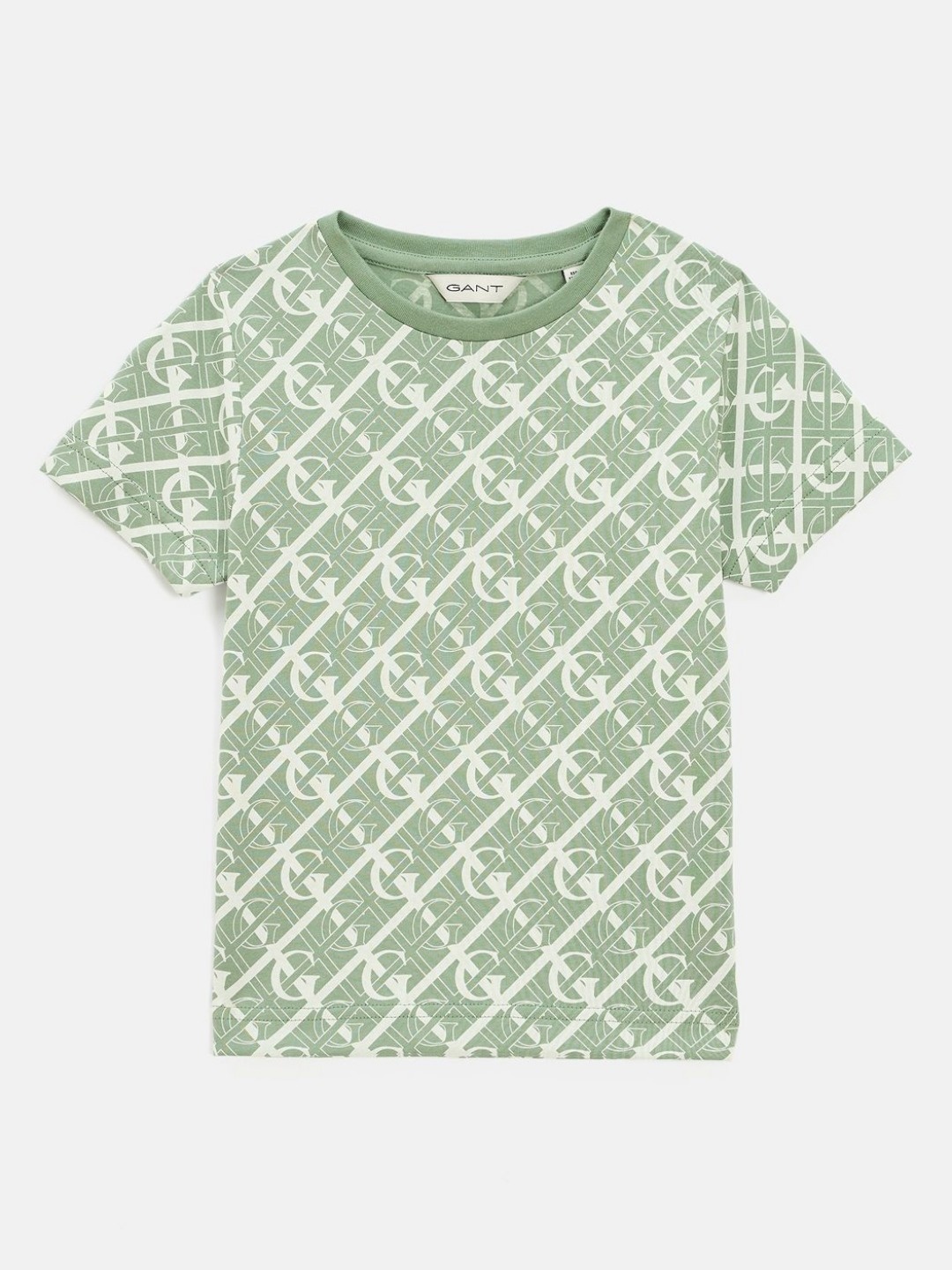 

GANT Boys Typography Printed Pure Cotton Raw Edge T-shirt, Green