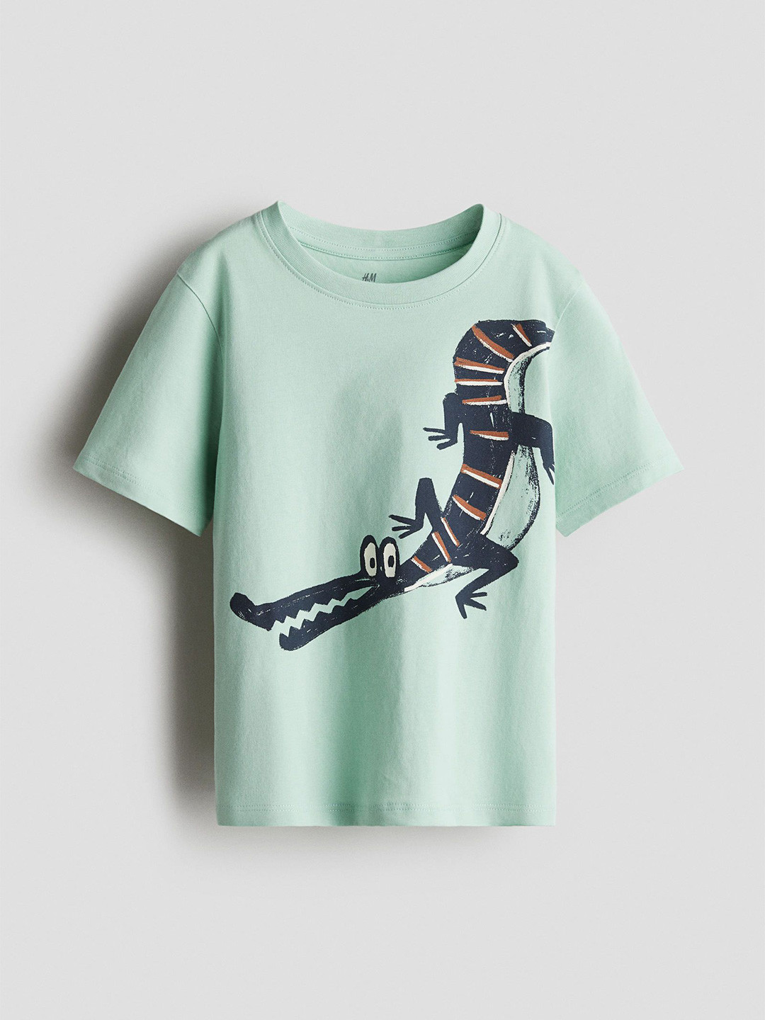 

H&M Printed T-Shirt, Green