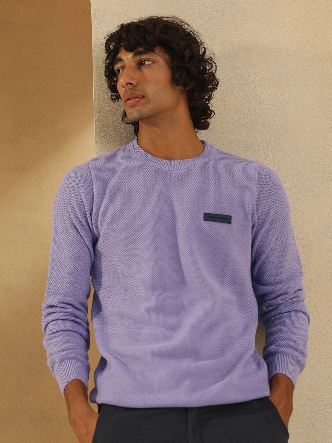 

PRIMAL GRAY Men Round Neck Cotton Pullover, Lavender
