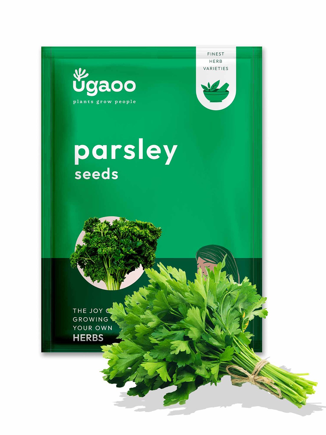

UGAOO Parsley Seeds, Brown