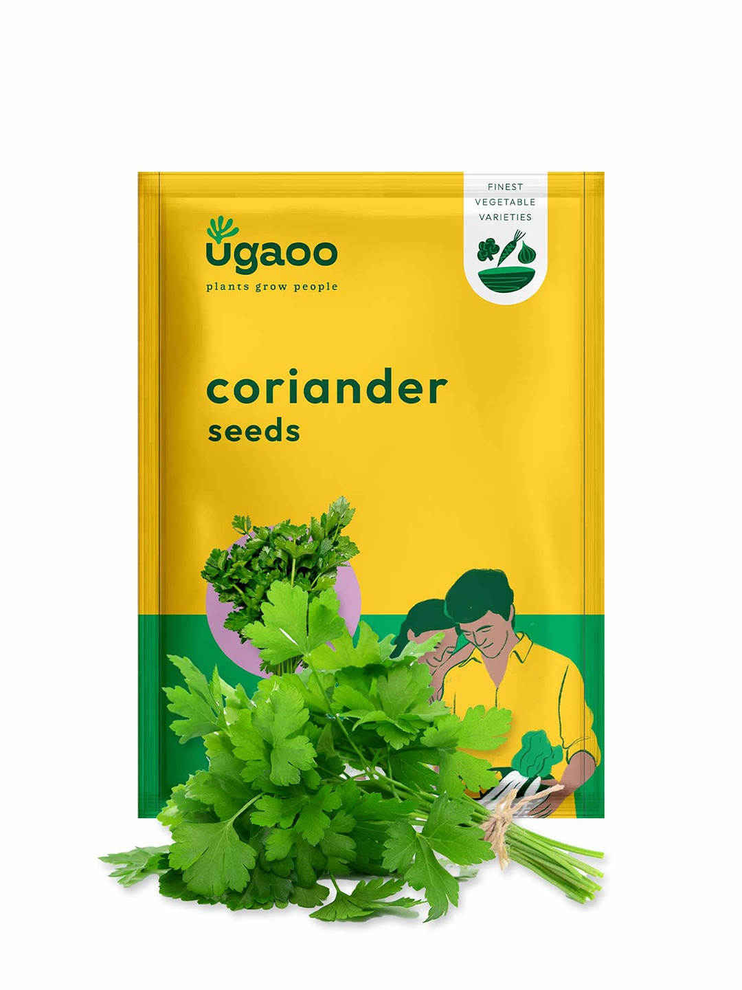 

UGAOO Coriander Seeds, Brown