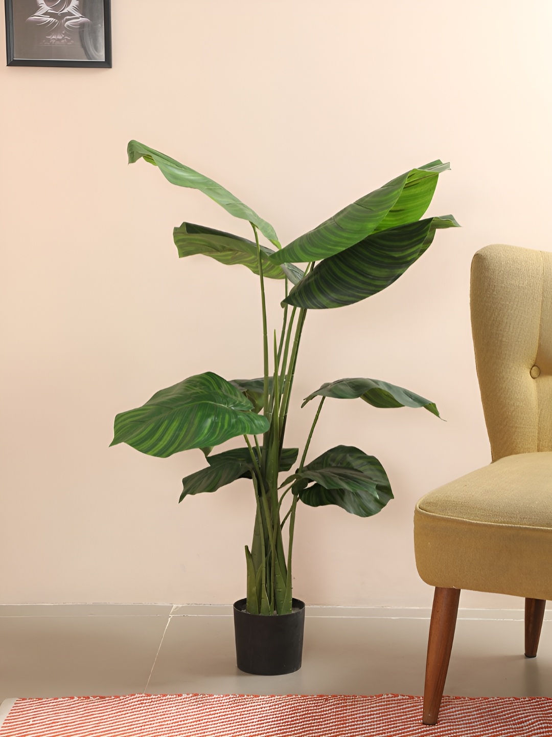 

Home Bloom Green & Black Artificial Anubias Barteri Plant With Pot