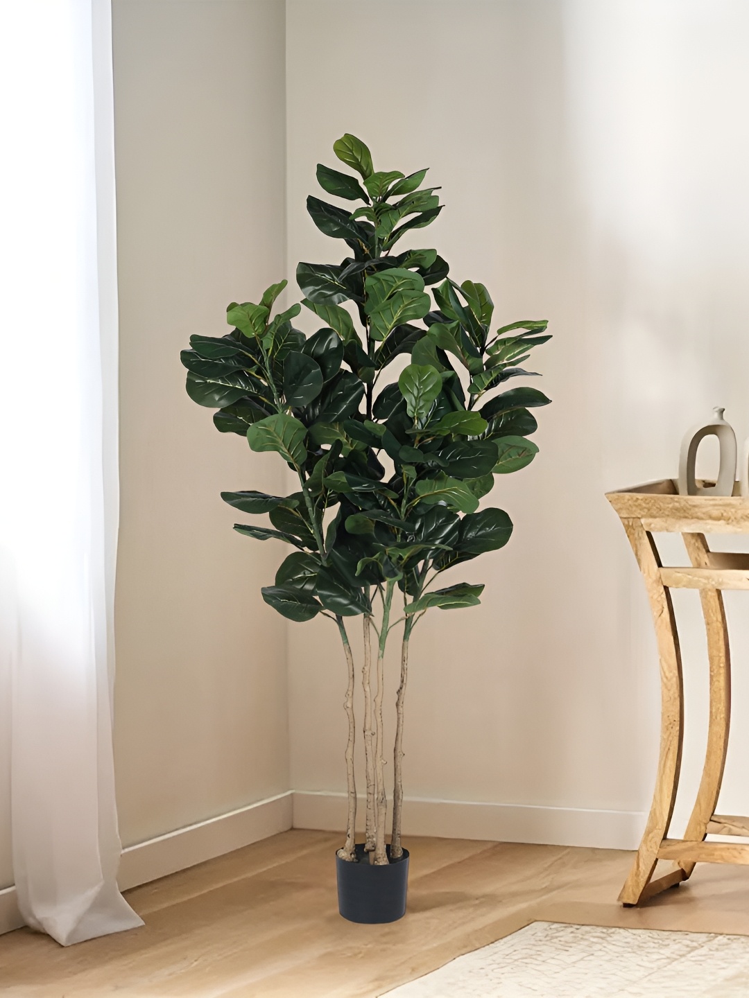 

Home Bloom Green & Black Artificial Fiddle Plant With Pot