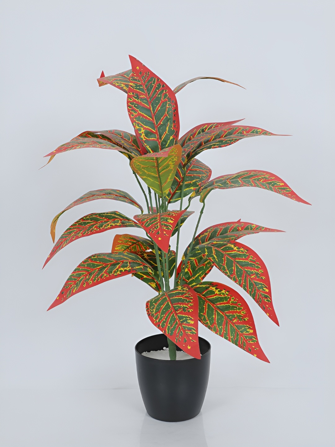 

Home Bloom Red & Black Artificial Croton Plant With Pot
