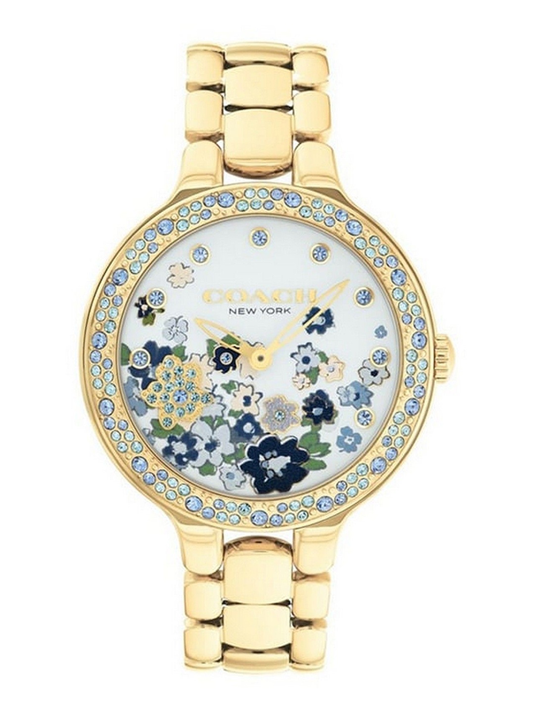 

Coach Chelsea Women Dial & Stainless Steel Straps Analogue Watch, Blue