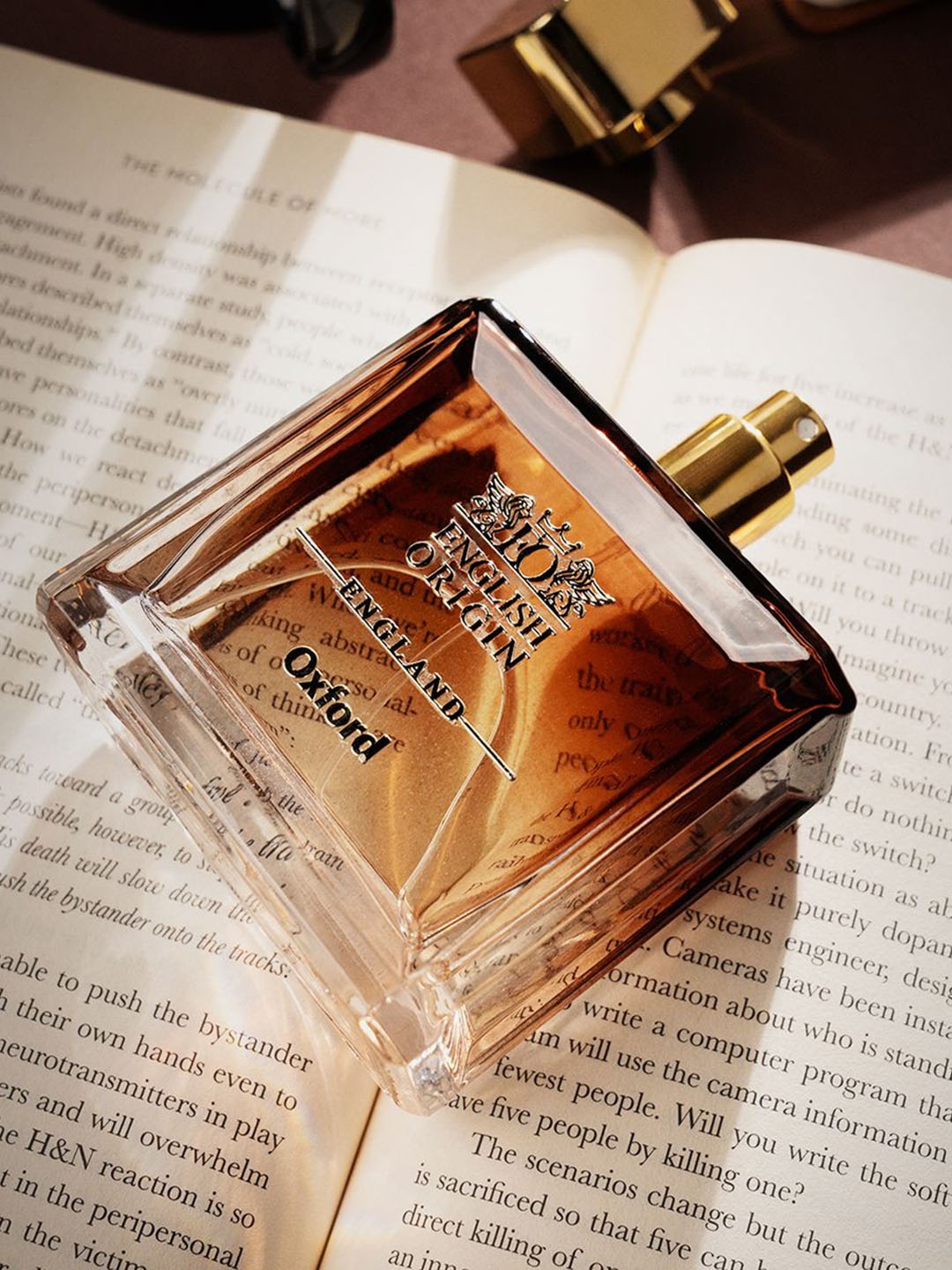 

English Origin Oxford Long Lasting Eau De Parfum - 100 ml, Brown
